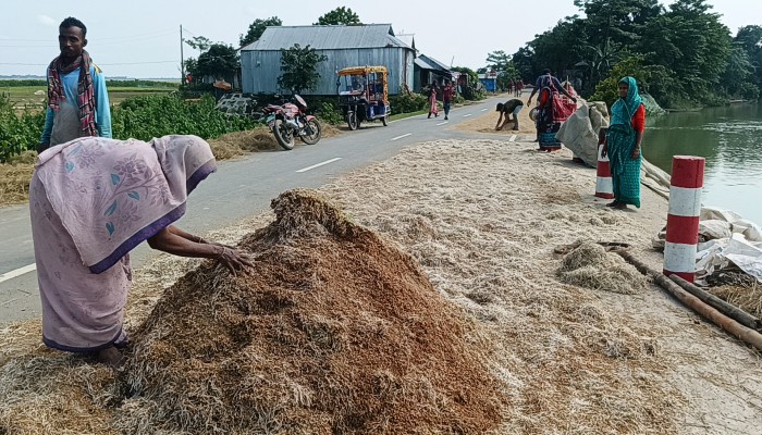 রোদের দেখা মিললেও হাওরে বন্যার শঙ্কা কাটেনি