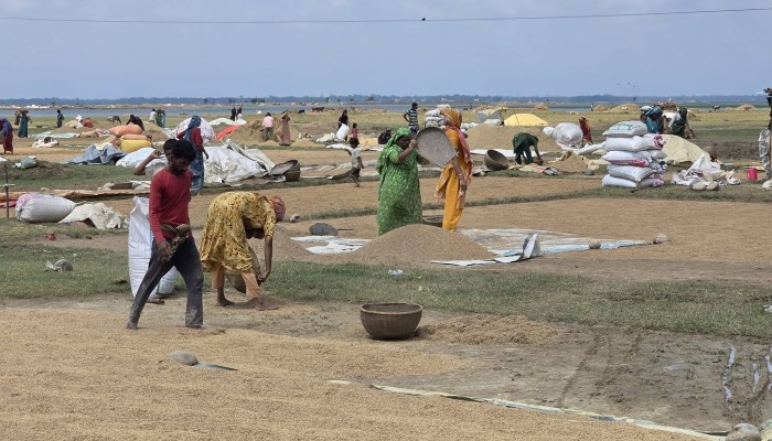 খরচার হাওর: এক জায়গায় ক্ষয়-ক্ষতির দুই চিত্র