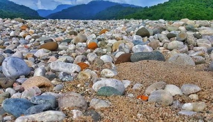 পরিবেশগত ভারসাম্য যাচাই ও জরিপে কমিটি গঠন