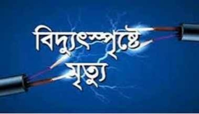 জামালগঞ্জে বিদ্যুৎস্পৃষ্টে তরুণ নিহত