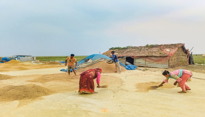 ঋণের বোঝা নিয়ে ফিরছে ৫ শতাধিক জিরাতি পরিবার