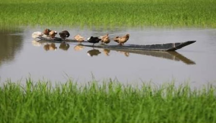 হাওর কথন