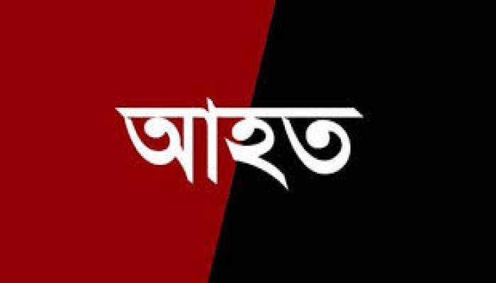 বন্য শূকরের আক্রমণে দুই শিশু আহত