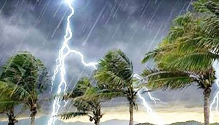 বজ্রপাতে খামারির মৃত্যু