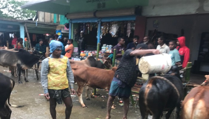 প্রভাবশালী চক্রের দাপটে বিপুল পরিমাণ রাজস্ব হারালো সরকার