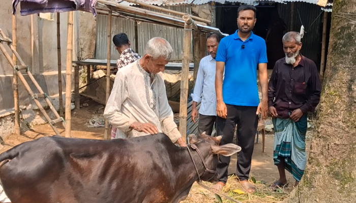 সড়ক দুর্ঘটনায় নিহত দুই ভাইয়ের পরিবার পেল গাভী ও নগদ সহায়তা