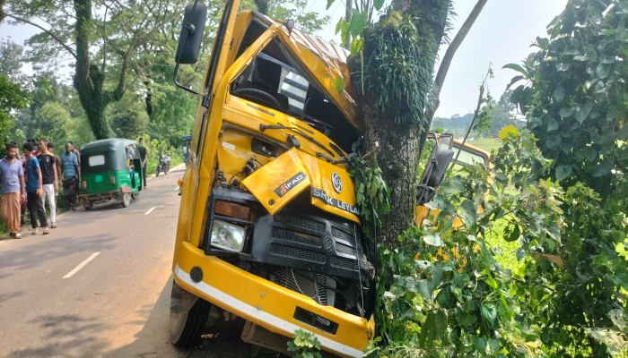 গাছের সঙ্গে ট্রাকের ধাক্কায় শ্রমিক নিহত, অটোরিকশার চাপায় প্রাণ গেল ৬ বছরের শিশুর