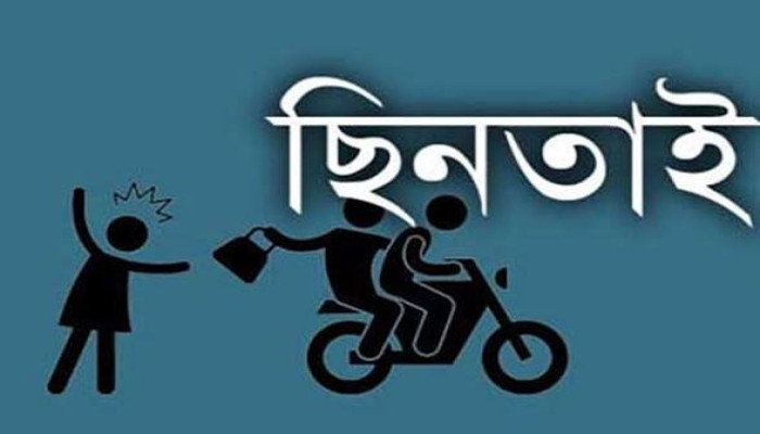দুই ছিনতাইকারীকে পুলিশ দিলেন এলাকাবাসী