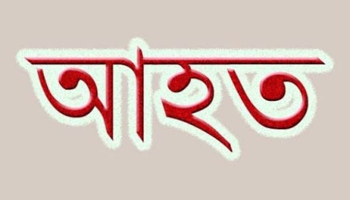 দুর্বৃত্তের হামলায় মসজিদের ইমাম আহত