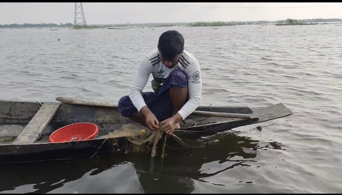 প্রণোদনা ছাড়াই হাওরে মাছ ধরায় নিষেধাজ্ঞা, বিপাকে লক্ষাধিক জেলে