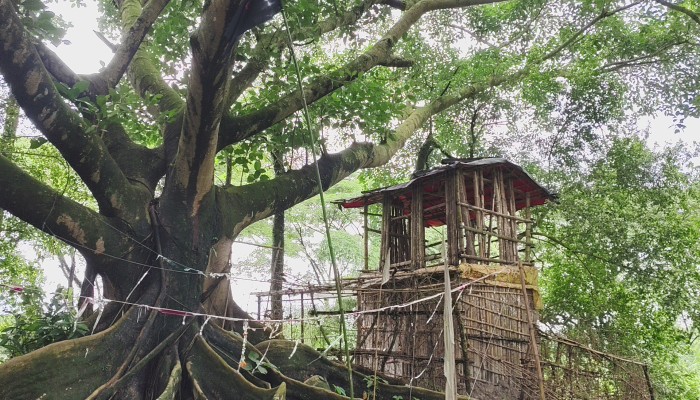 দোয়ারাবাজারের বাজিতপুর গ্রাম কথিত পীরের আস্তানায় মাদকের আসর