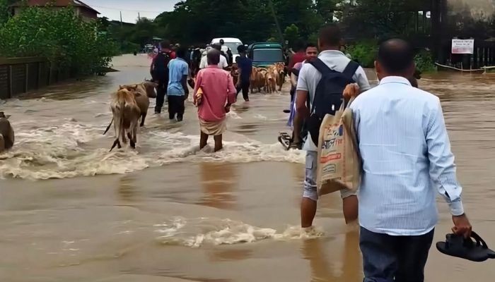 বাড়ছে নদ-নদীর পানি, পাহাড়ি ঢলে ঘরবাড়ি ক্ষতিগ্রস্ত