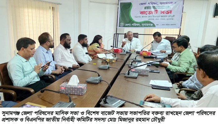 প্রধানমন্ত্রীর নির্দেশ বাস্তবায়নে জেলা পরিষদের কার্যক্রমকে গতিশীল করতে হবে : মিজান চৌধুরী