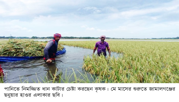 অনেক ক্ষতিগ্রস্ত পায়নি মানবিক সহায়তা, তালিকায় জনপ্রতিনিধি ও নেতাকর্মীদের ঘনিষ্ঠজনেরা