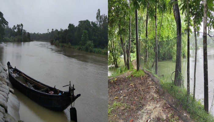 কোটি টাকার মাছ রক্ষায় আগাম প্রস্তুতি, বন্যা নিয়ে উৎকণ্ঠায় চাষীরা