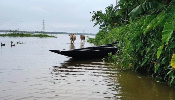 নদ-নদীর পানি কমলেও কাটেনি বন্যার শঙ্কা