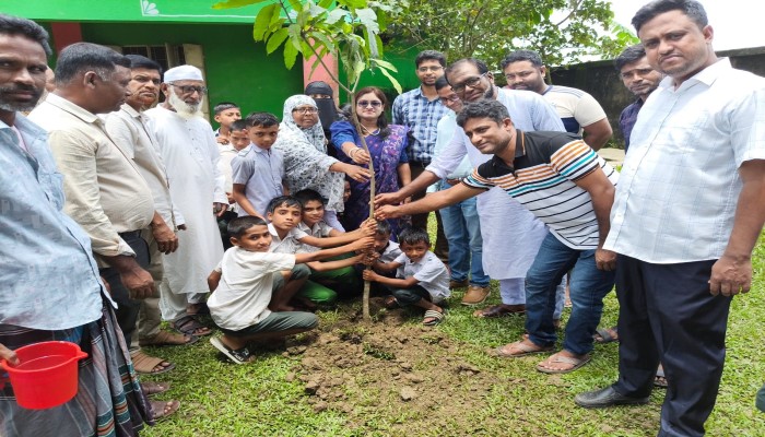 জামালগঞ্জে বৃক্ষরোপণ কর্মসূচি উদ্বোধন