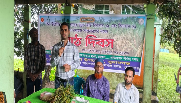 হাওরের কান্দায় আউশ চাষ বাড়াতে বিনাধান-১৯ ও ২১ নিয়ে মাঠ দিবস