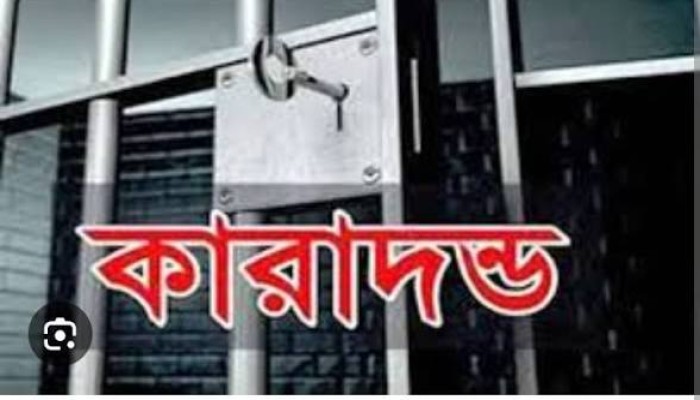 গৃহবধূকে আত্মহত্যায় প্ররোচনার দায়ে স্বামীর ৫ বছরের কারাদন্ড
