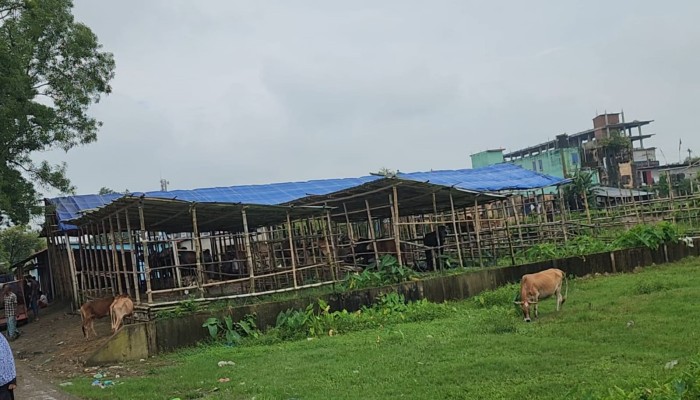 গোবিন্দগঞ্জে রেলওয়ের জমিতে পশুর হাট, স্থাপনা সরিয়ে নিতে নোটিশ