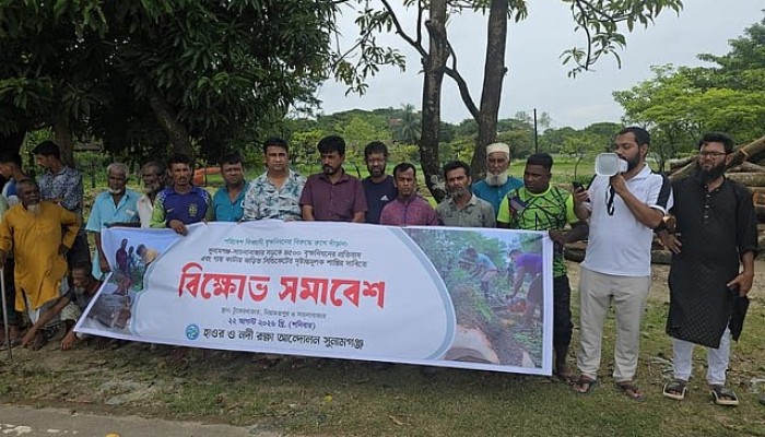 বন বিভাগের ‘সিন্ডিকেট’ ভেঙে জড়িতদের দৃষ্টান্তমূলক শাস্তির দাবি