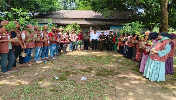 জেলাজুড়ে আনসার-ভিডিপির বৃক্ষরোপণ