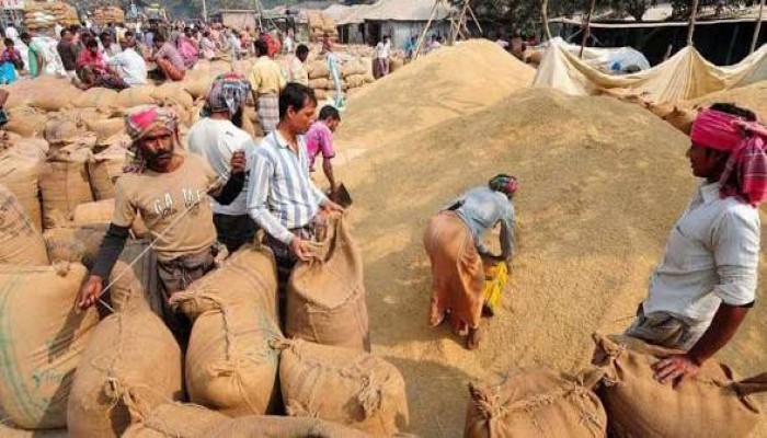 হাওরে ধানের বাজার মন্দা, চালের বাজার ঊর্ধ্বমুখী