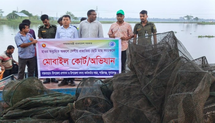 শান্তিগঞ্জে ভ্রাম্যমাণ আদালতের অভিযান ৪ জনকে জরিমানা, ৮৩৩০ মিটার রিং জাল পুড়িয়ে ধ্বংস