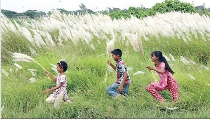 রূপ বৈচিত্র্যের রাণী শরৎ ঋতু