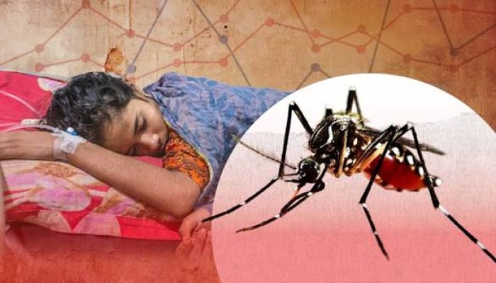 ডেঙ্গুতে ৯ মাসে মৃত্যু দাঁড়াল ২৫০ জনে